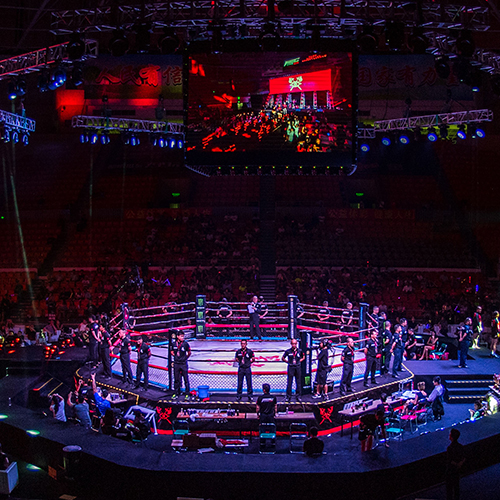 MMC- It is the fusion of Sanda, boxing, Thai boxing, MMA international fighting events